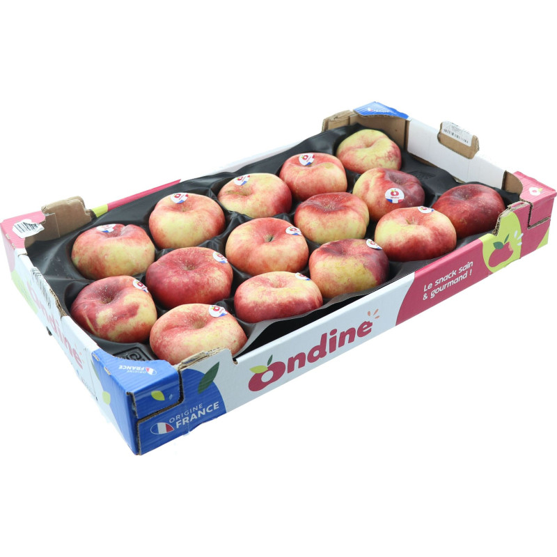 NECTARINE BLANCHE PLATE 5KG